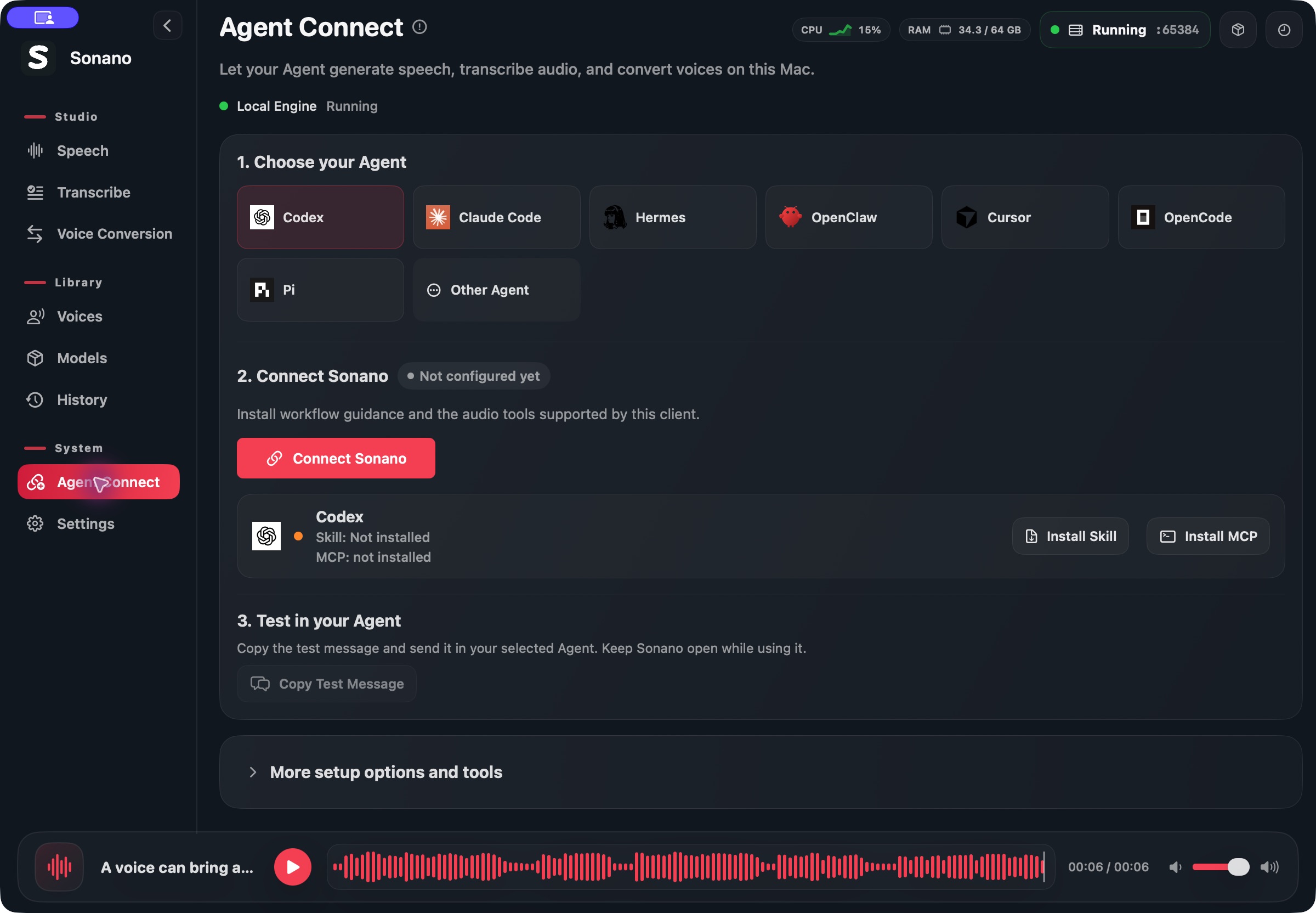 Agent 接入页面截图